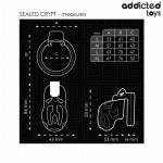 ADDICTED TOYS LOCKED - GAIOLA DE PÃNIS CRYPT SELADA 8 CM
